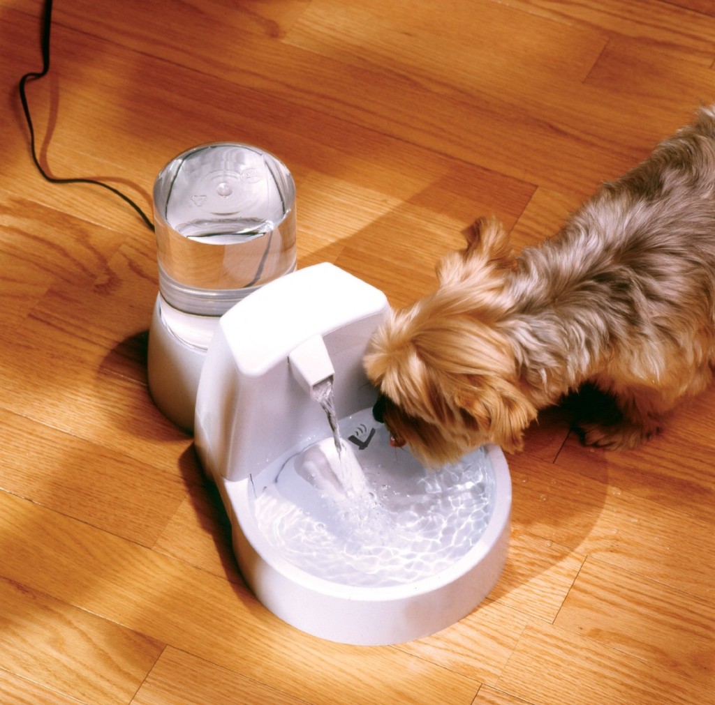 Drinkwell Original Pet Fountain Buy Tech Zone