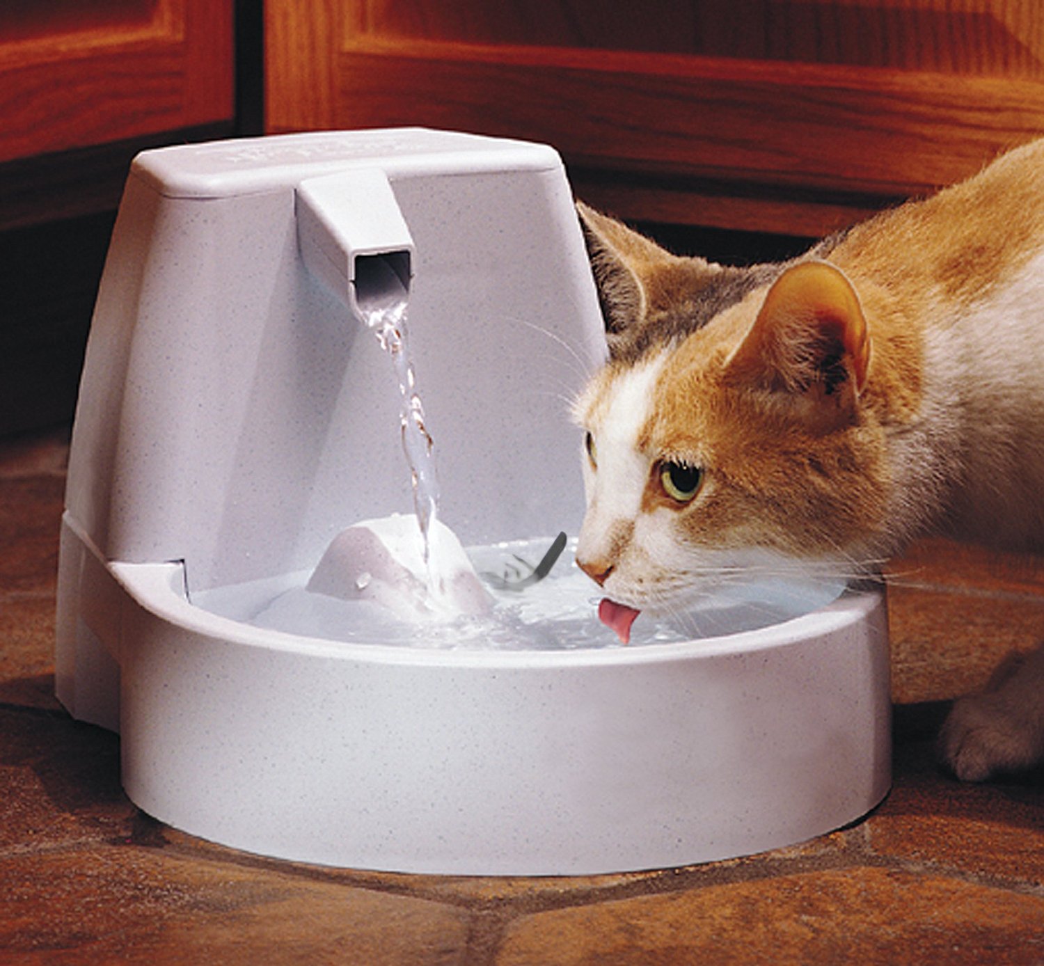 Cat Drinking Fountain Best Cat Water Bowl Diy Cat Drinking