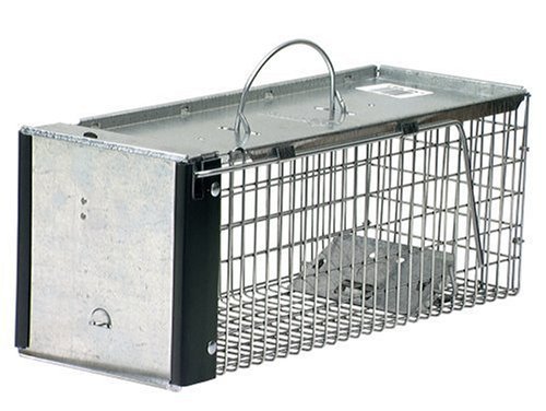 Havahart-X-Small-Professional-Style-One-Door-Animal-Trap-for-Chipmunk-Squirrel-Rat-and-Weasel-0745-B000BPAVCG