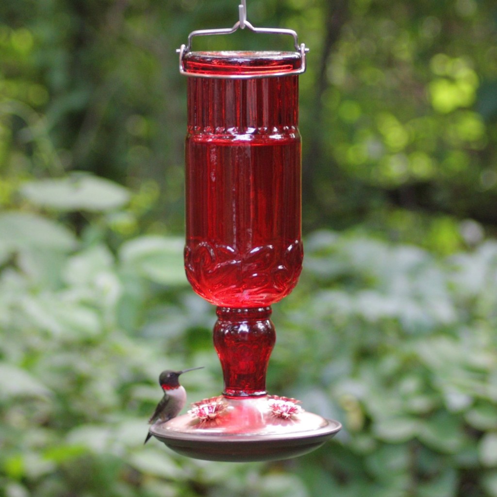 perky pet hummingbird feeder 211 perky pet hummingbird feeder 211